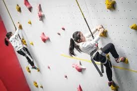 勇士队交易库明加的计划或因奇才引进特雷·杨而面临复杂局面